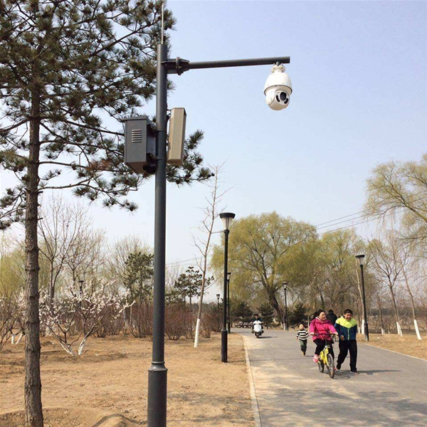 莱芜小区监控杆-LX-02